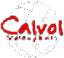 Calvol Volleyball Association